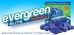 Evergreen Gold Tablets